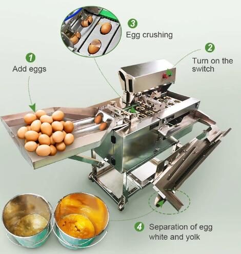 Automatic egg beater Automatic egg beater