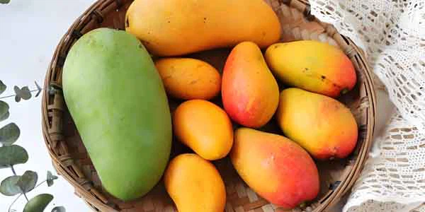 mango mango
